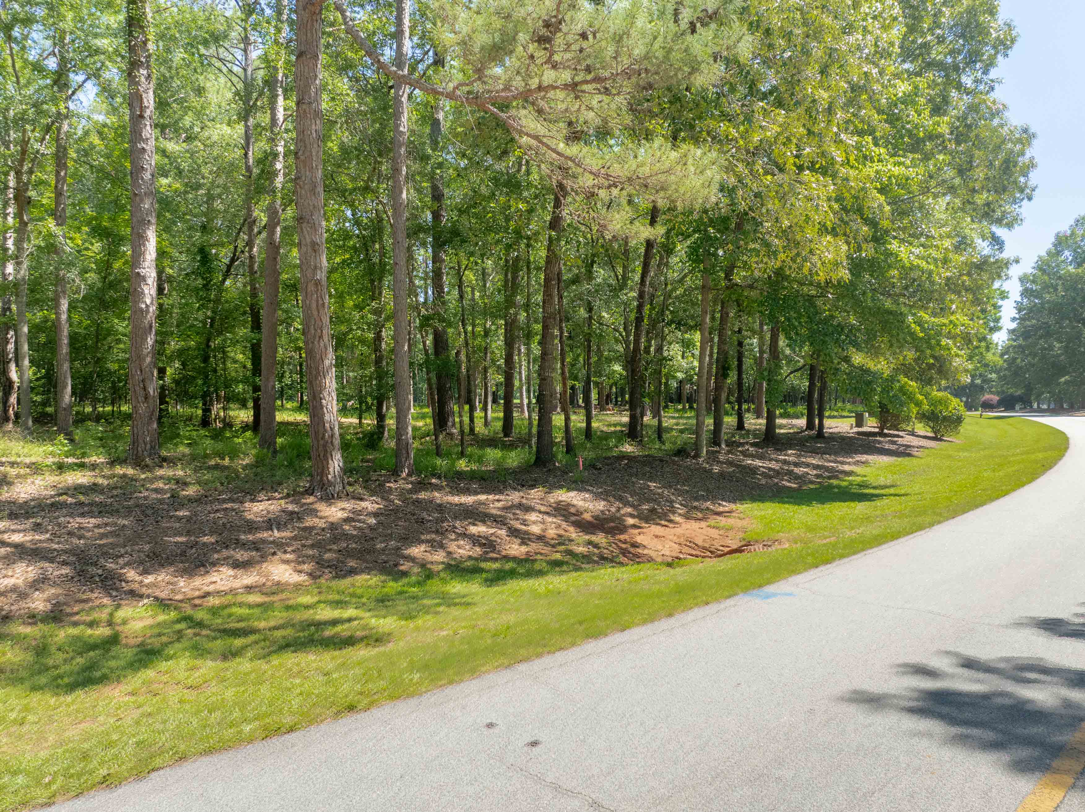 381 Reynolds Drive image 1